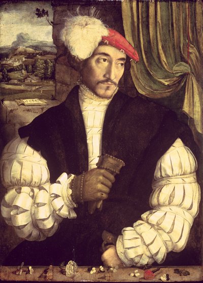 Bir Adamın Portresi, 1533 by Jorg I Breu