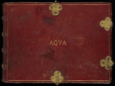 Aqvatilia ve Cochiliata (Aqva) hayvanları, cilt III by Joris Hoefnagel