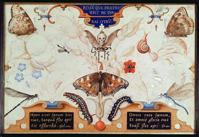 Çiçekler ve böceklerle iki parçalı tablo, 1591 (panelde maruflaj ve parşömen) by Joris Hoefnagel