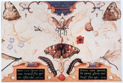 Çiçekler ve böceklerle iki kişilik tablo, 1591. by Joris Hoefnagel