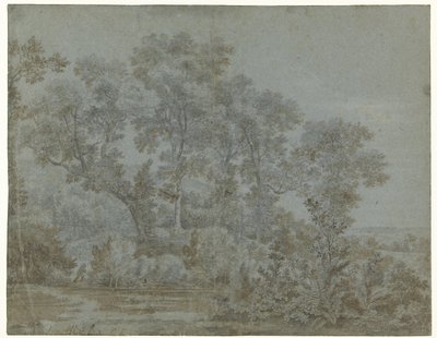 Arnhem yakınlarındaki Wildbaan by Joris van der Haagen
