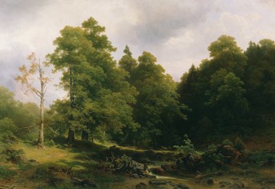 Ormanın sessiz köşesi by Josef Holzer