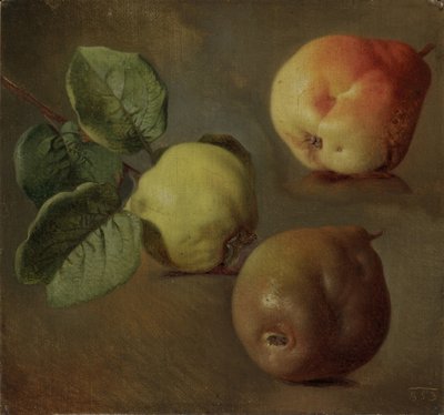 Les Coings - Ayva - Josef Navratil (1798-1865). Tuval üzerine yağlıboya by Josef Matěj Navrátil