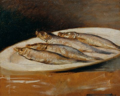 hamsi by Josef Navrátil
