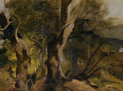 Waldstudie by Josef Navrátil