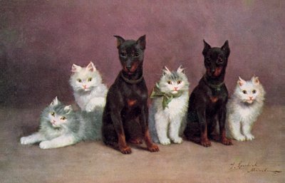  by Josef Sperlich