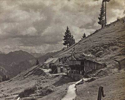 Albüm "Meine weltkriegs - Erinnerungen Güney-Batı Cephesi (Karintiya, İtalya, Güney Tirol) (Dünya savaşım - Karintiya, İtalya, Trentino-Alto Adige