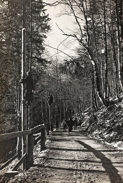 Albüm "Meine weltkriegs - Erinnerungen Güney-Batı Cephesi (Karintiya, İtalya, Güney Tirol) (Dünya savaşım - Karintiya, İtalya, Trentino-Alto Adige