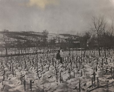 "Benim dünya savaşım - Karintiya, İtalya, Trentino-Alto Adige