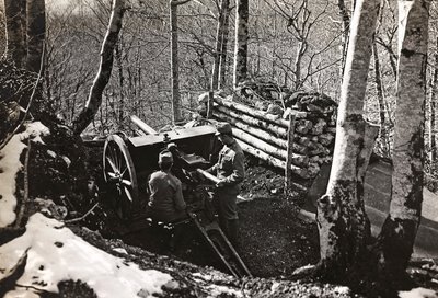 Albüm "Meine weltkriegs - Erinnerungen Güney-Batı Cephesi (Karintiya, İtalya, Güney Tirol) (Dünya savaşım - Karintiya, İtalya, Trentino-Alto Adige