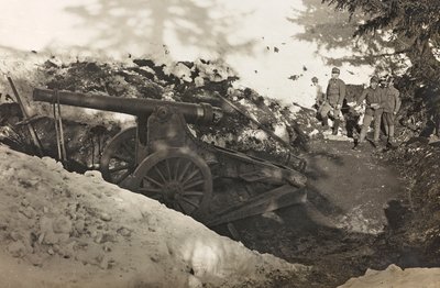 Albüm "Meine weltkriegs - Erinnerungen Güney-Batı Cephesi (Karintiya, İtalya, Güney Tirol) (Dünya savaşım - Karintiya, İtalya, Trentino-Alto Adige