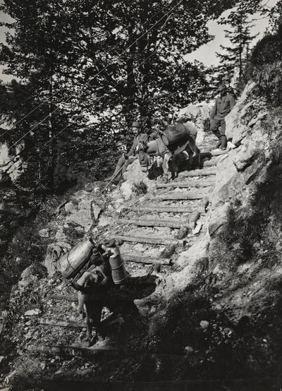 Albüm "Meine weltkriegs - Erinnerungen Güney-Batı Cephesi (Karintiya, İtalya, Güney Tirol) (Dünya savaşım - Karintiya, İtalya, Trentino-Alto Adige