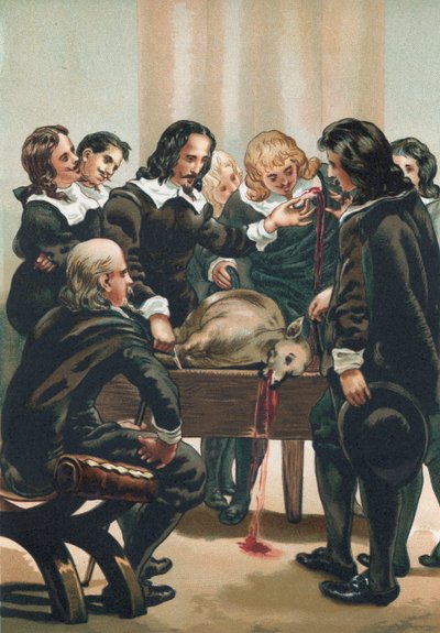 William Harvey kan dolaşımını gösteriyor by Josep or Jose Planella Coromina