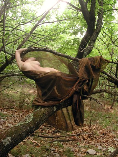 Venüs by Joseph Angilella Auquier
