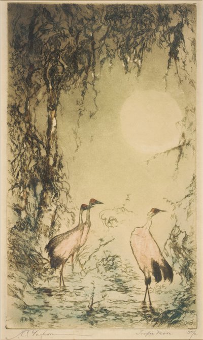  by Joseph C. Claghorn
