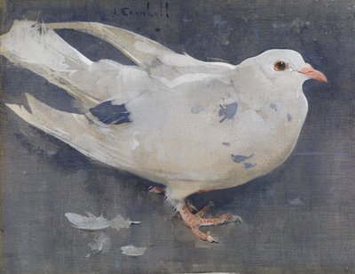 Güvercin (keten üzerine guaş) by Joseph Crawhall