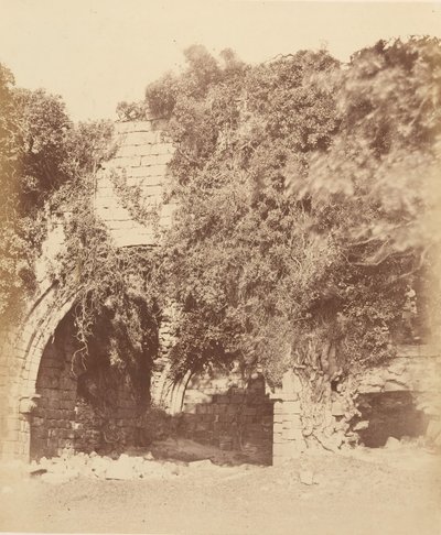 Kirkstall Manastırı. Güney Yakası