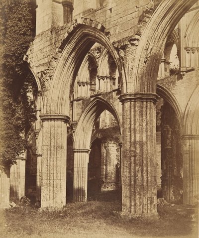 Rievaulx Manastırı. Koroya Bakış, 1850
