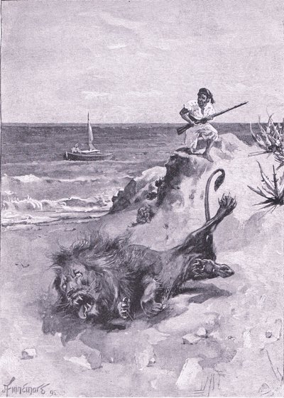 Yaşam için mücadele etti (lito) by Joseph Finnemore