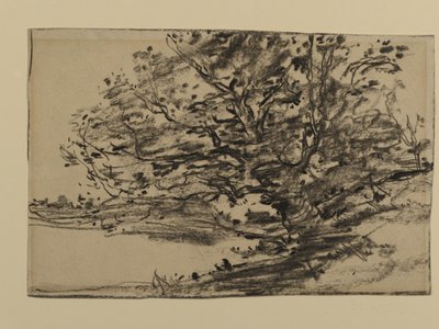 Ağaçların İncelenmesi, 1870 (kağıt üzerinde grafit) by Joseph Frank Currier