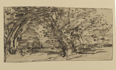 Ağaçların İncelenmesi, 1870 (kağıt üzerinde grafit) by Joseph Frank Currier