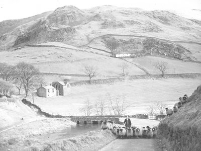 Yolda sürülen koyun sürüsü by Joseph Hardman