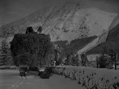 Noel ağaçlarıyla dolu kamyon karlı bir yolda ilerliyor by Joseph Hardman