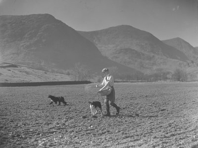 Çöp sepetli adam ve tohum eken iki köpek by Joseph Hardman