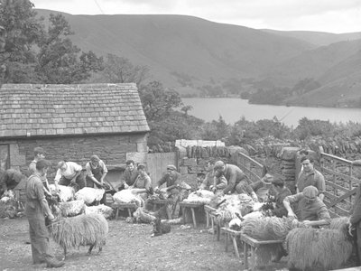 Banklarda koyun kırpan adamlar by Joseph Hardman