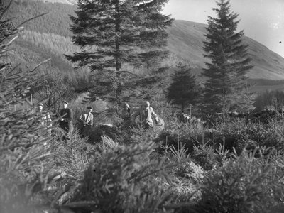 Thirlmere