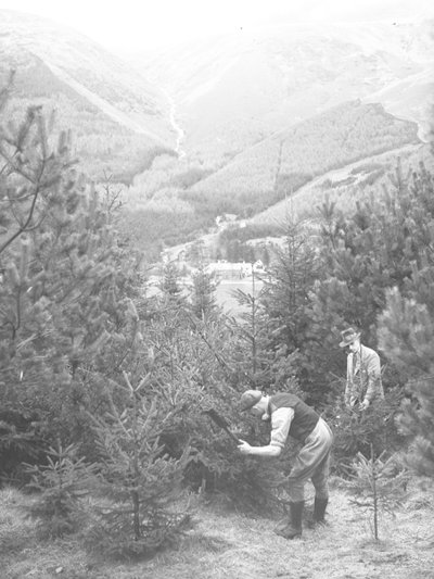 Thirlmere