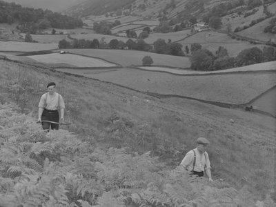 Bracken tırpanlayan iki adam by Joseph Hardman