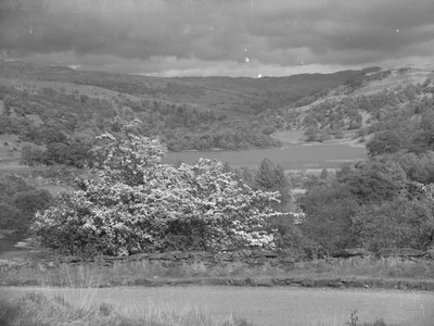 Rydal