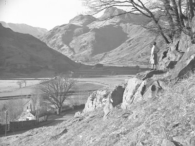 Ağacın altında kayaların üzerinde duran ve Langdale Fells manzarasına bakan kadın by Joseph Hardman