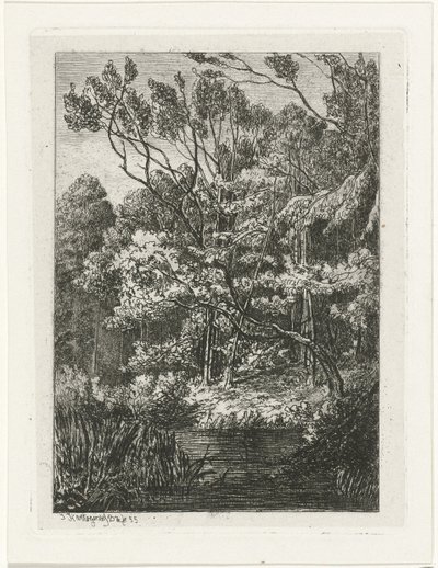 Orman manzarası by Joseph Hartogensis