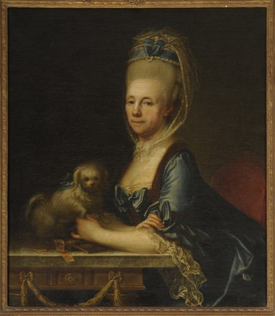 Josef Hickel - Rafaela Salm-Reifferscheidt, roz. Rogendorf by Joseph Hickel
