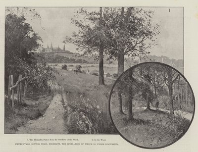 Yıkımı Tartışılan Churchyard Bottom Wood, Highgate by Joseph Holland Tringham