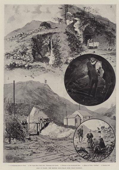Galler'deki Altın, Dolgelly yakınlarındaki İngiliz Altın Tarlaları Madeni by Joseph Holland Tringham