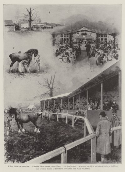 Galler Prensi Stud-Farm, Wolferton