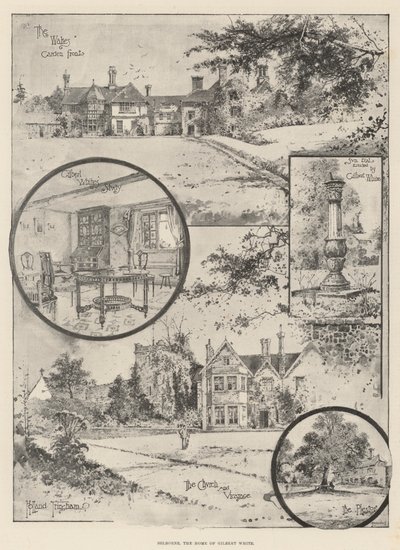 Selborne, Gilbert White