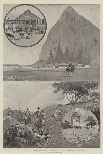 Calpe Hunt, Cebelitarık