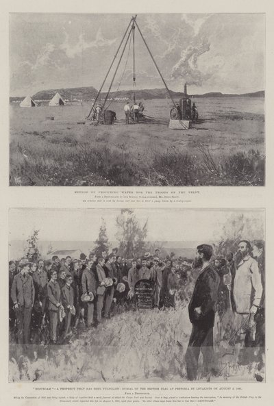Güney Afrika