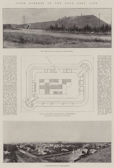 ಗೋಲ್ಡ್ ರೀಫ್ ಸಿಟಿ ಟರ್ಕಿಗೆ ರಾಬರ್ಟ್ಸ್ ಜೊತೆ by Joseph Holland Tringham
