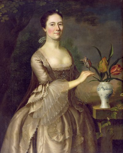 Bir Kadının Portresi (Bayan Davenport denir) c.1762 by Joseph Jonathan Blackburn