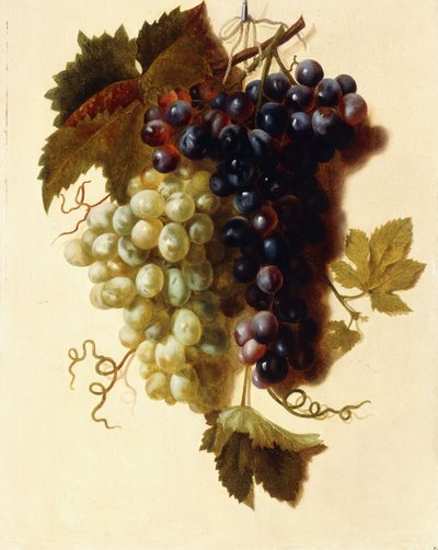 Bir İpten Sarkan Yeşil ve Kırmızı Üzüm Demetleri, c.1796 by Joseph Laurent Malaine