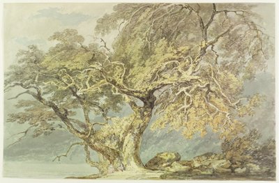 Büyük Bir Ağaç, c.1796 (kağıt üzerinde grafit üzerinde wc) by Joseph Mallord William Turner