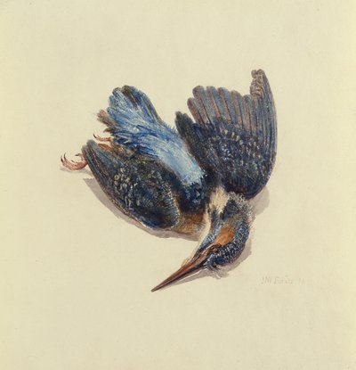 Kingfisher, The Farnley Book of Birds