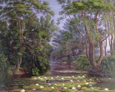 Cherwell Nehri Nilüferleri, 1851 by Joseph Mallord William Turner