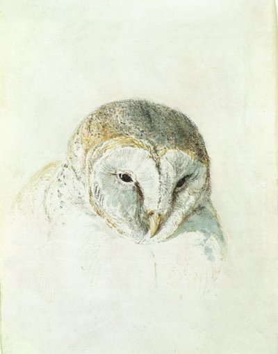 Beyaz Peçeli Baykuş, The Farnley Book of Birds