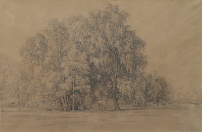 Aşağı Avusturya'daki Seebenstein Şatosu parkındaki huş ağaçları grubu by Joseph Martin Höger